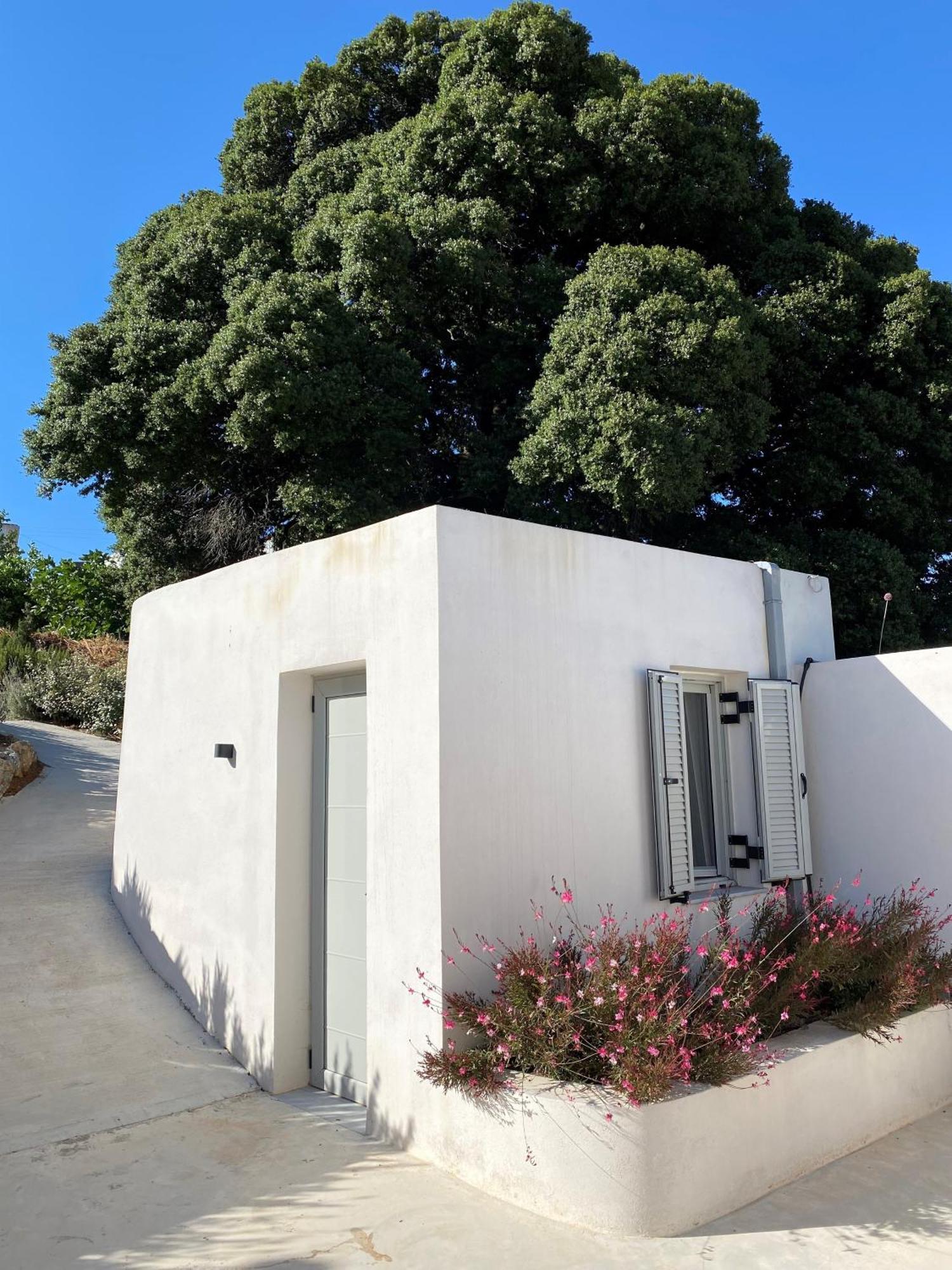 Fourfouras Cottage エクステリア 写真